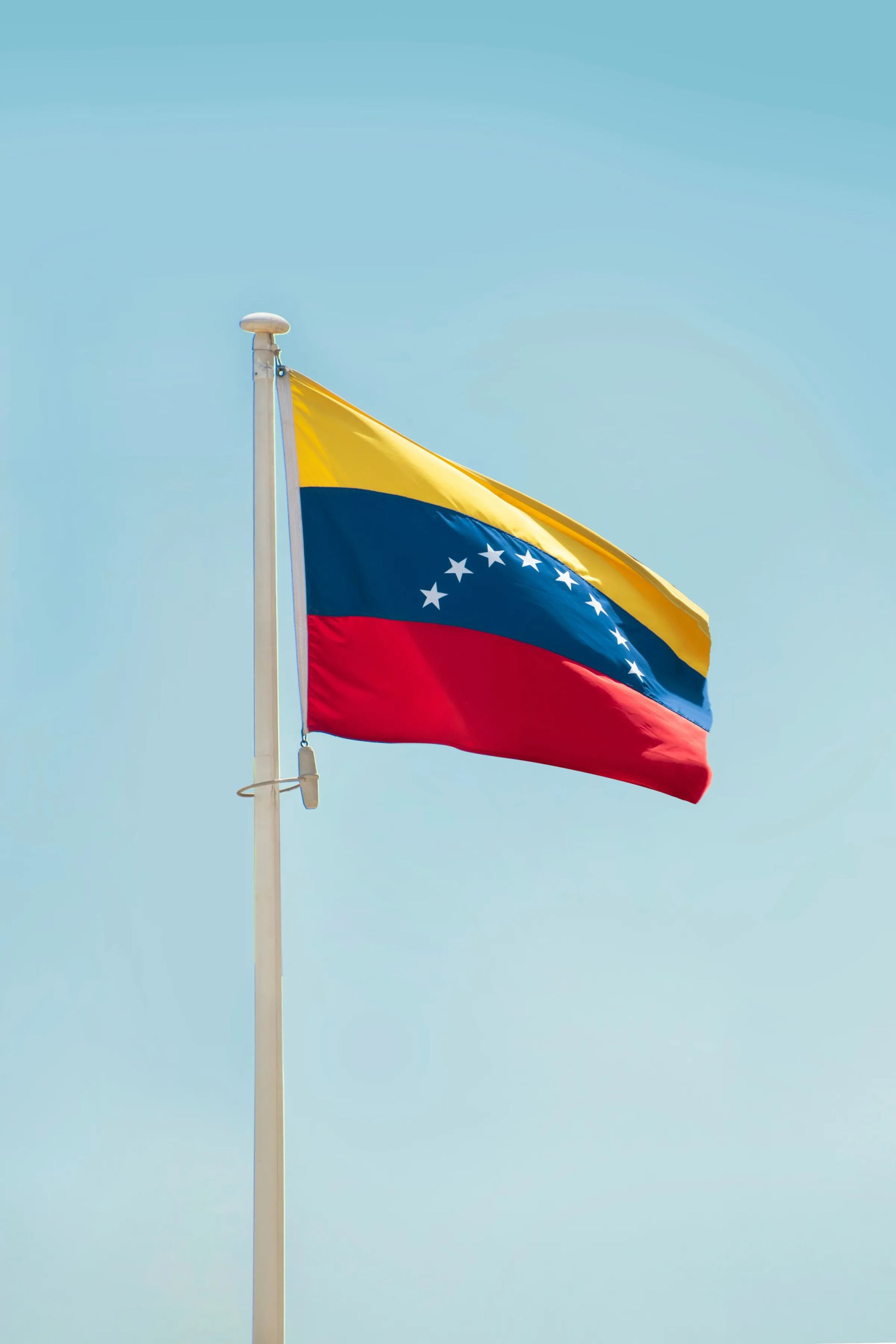 Venezuelan Flag