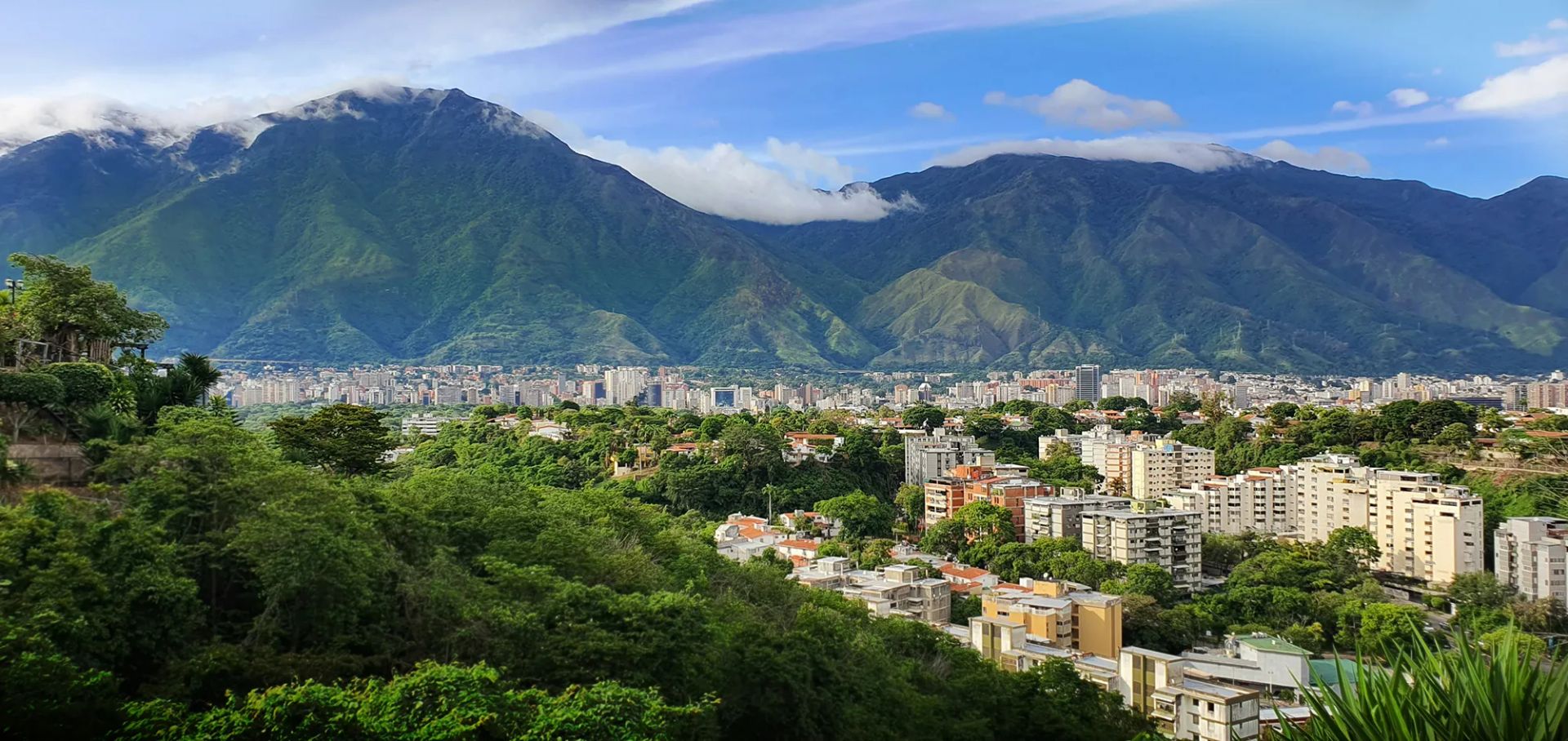 Caracas skyline at midday, with the green slopes of El Ávila mountain rising above the city's residential and commercial districts.
