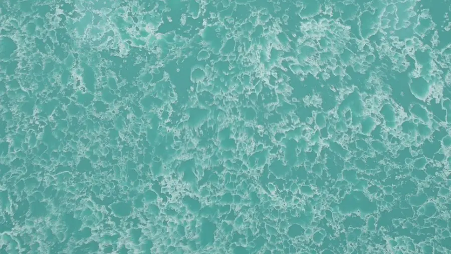 CS Emerald Coast Quartz Slab