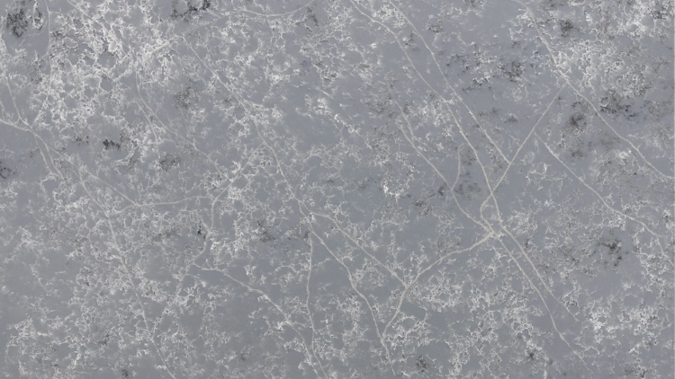 CS Barracuda Quartz Slab