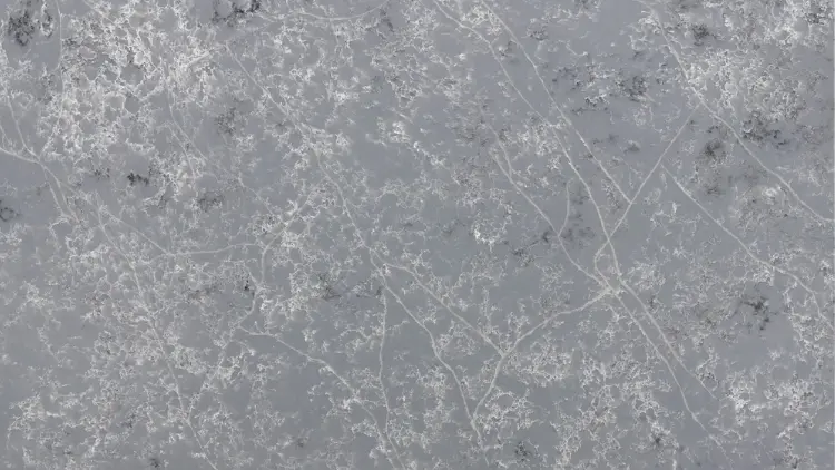 CS Barracuda Quartz Slab