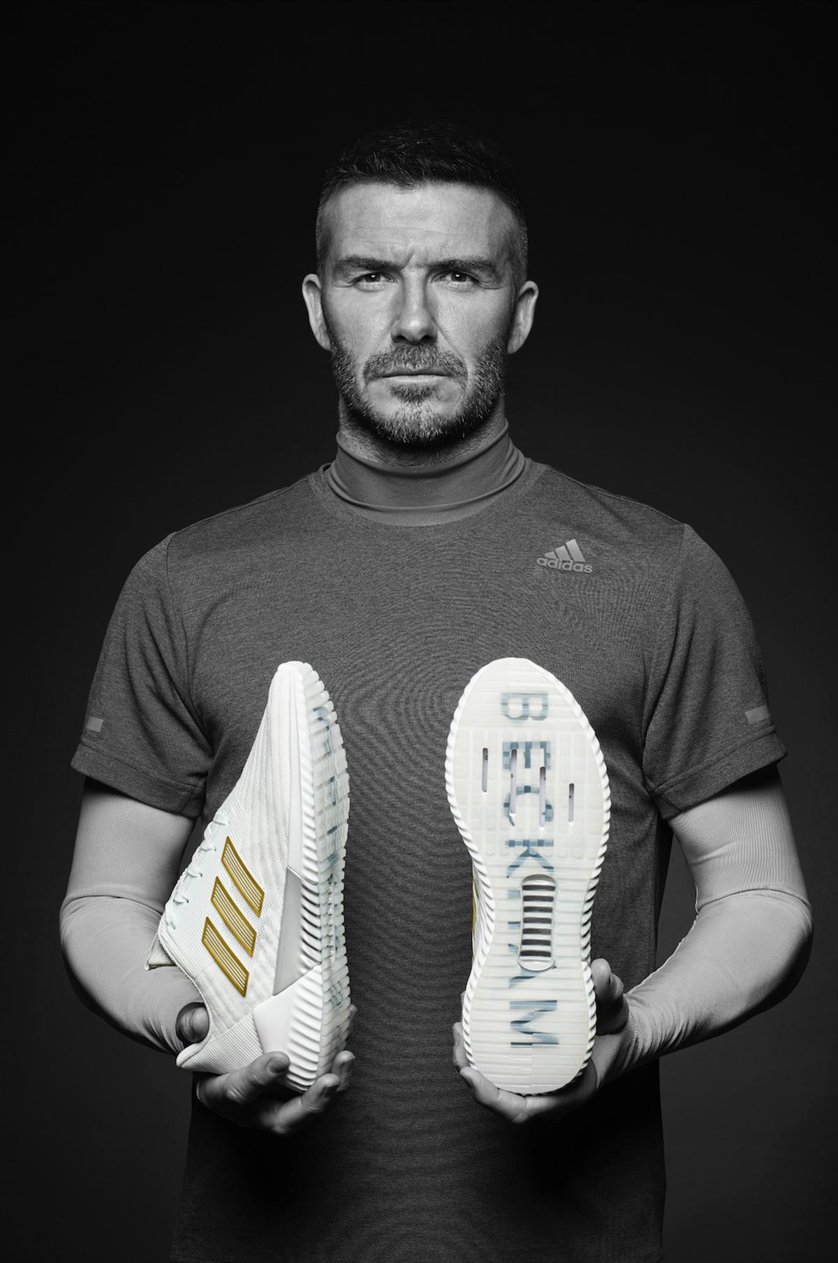 Privacy Policy | David Beckham