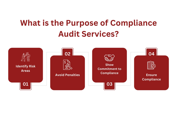 What is the Purpose of Compliance Audit Services.png
