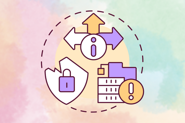 Crafting the Perfect Data Mapping Framework Approaches and Stakeholder Perspectives (3).png