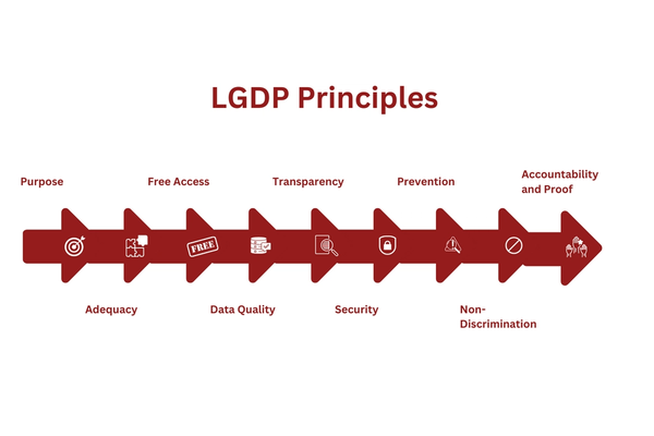 lgdp-principles.png