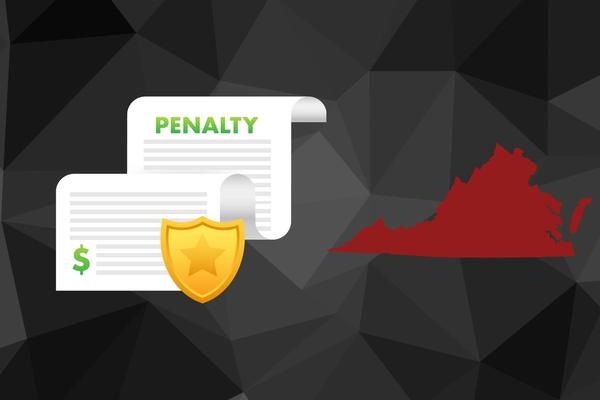 Penalties for Non-Compliance with the VCDPA.jpg