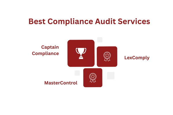 Best Compliance Audit Services.png
