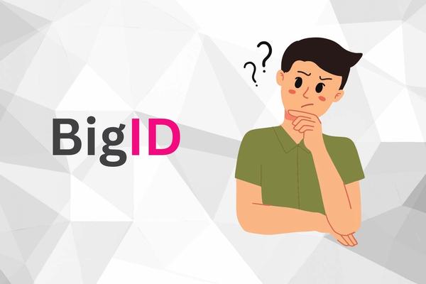 what is bigid.jpg