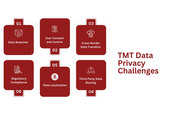 TMT Data Privacy Challenges.png