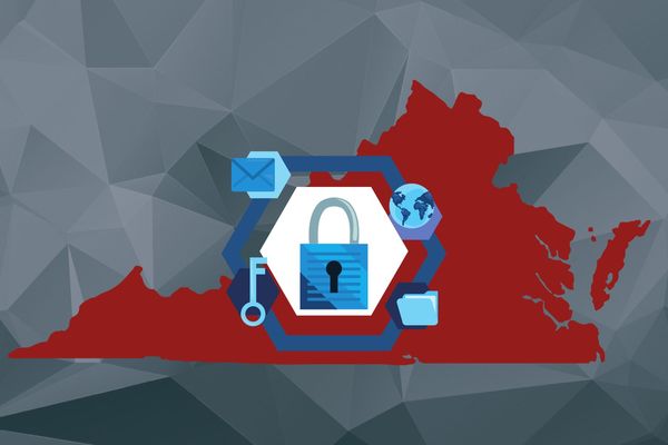 Overview of the VCDPA.jpg