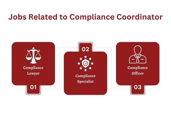 Jobs Related to Compliance Coordinator.jpg