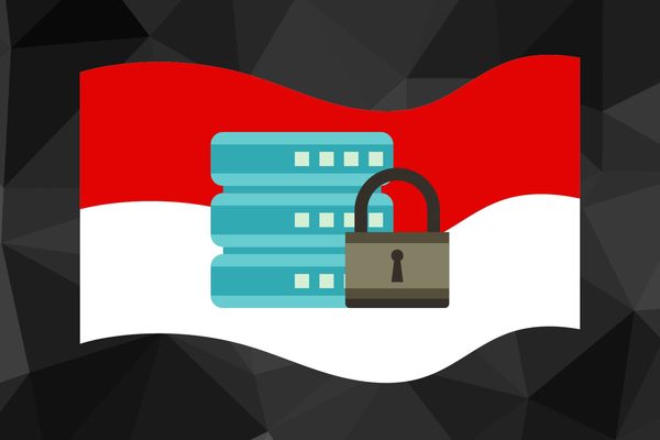 What is Indonesia PDP.jpg