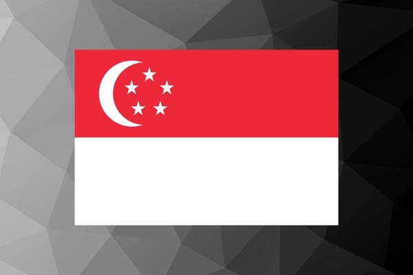 What is the PDPA Singapore.jpg