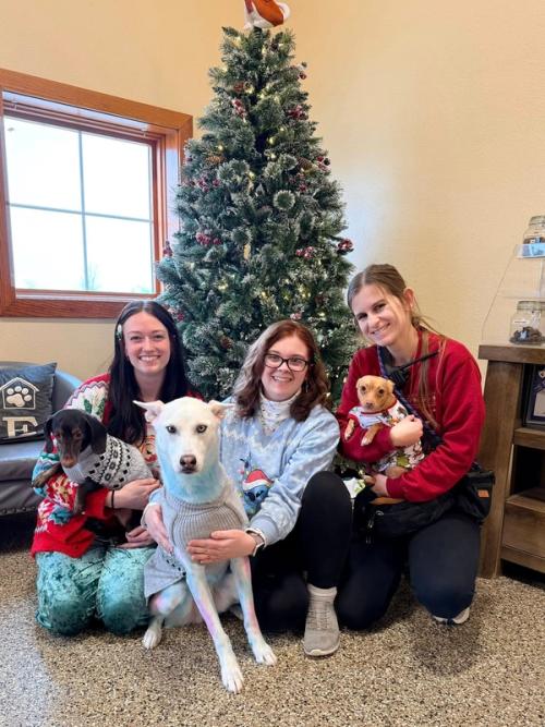 Home Away From Home Gallery 12