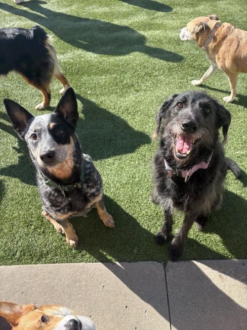 Home Away From Home Gallery 2