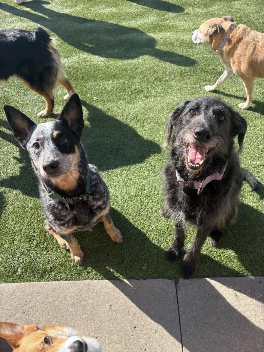 Home away from home carousel 4