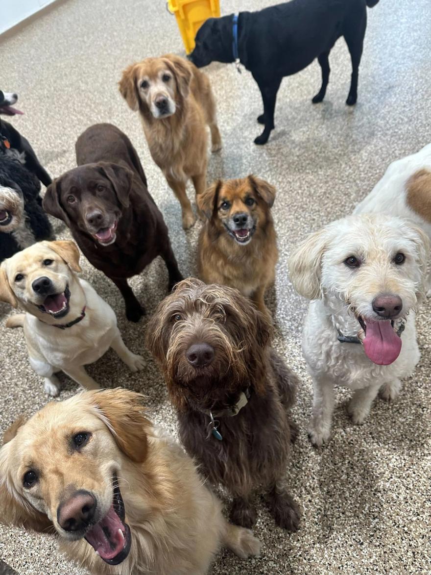 Home away from home carousel 5