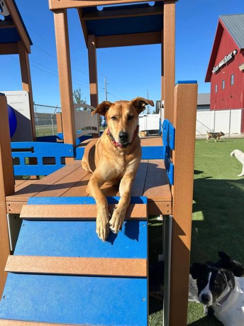 Home Away From Home Gallery 3