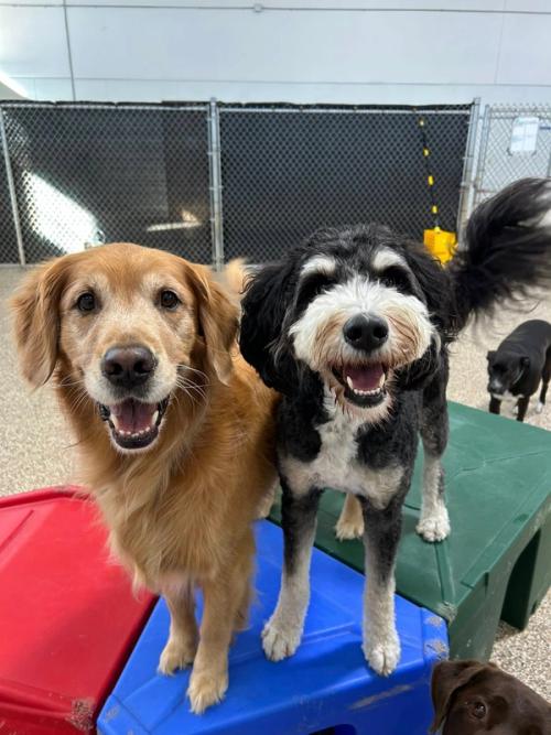 Home Away From Home Gallery 7