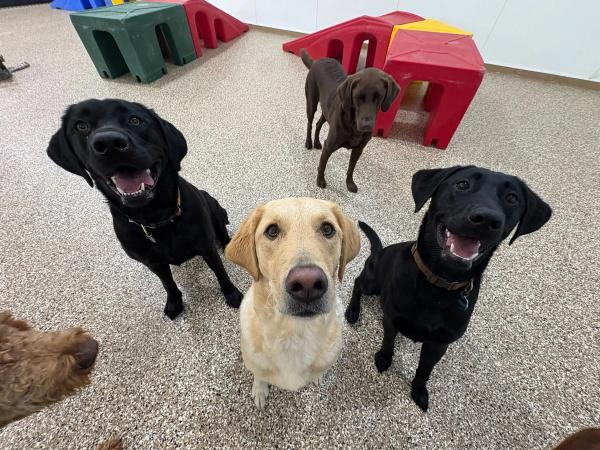 Boarding at Home Away