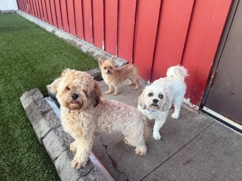 Home Away From Home Gallery 5