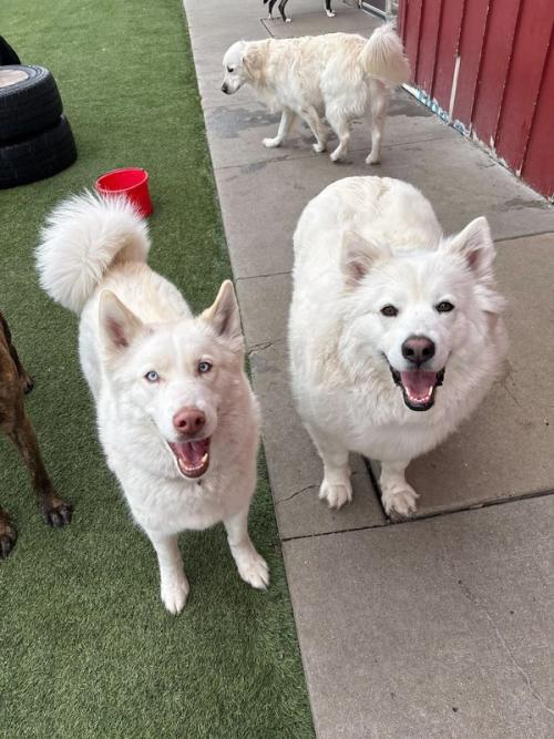 Home Away From Home Gallery 1