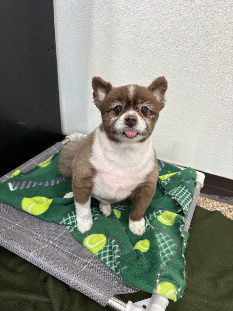 Home away from home carousel 7