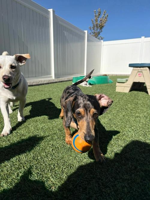 Home Away From Home Gallery 8