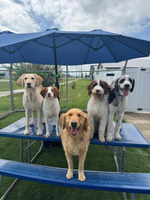 Home Away From Home Gallery 4