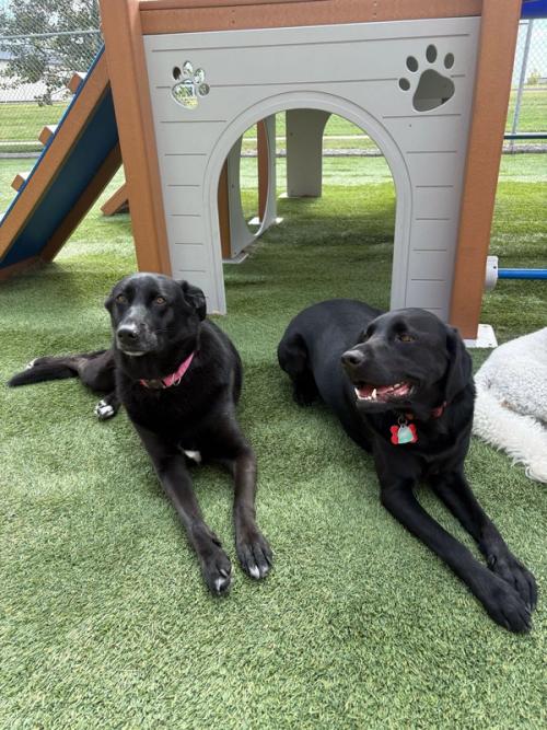 Home Away From Home Gallery 9