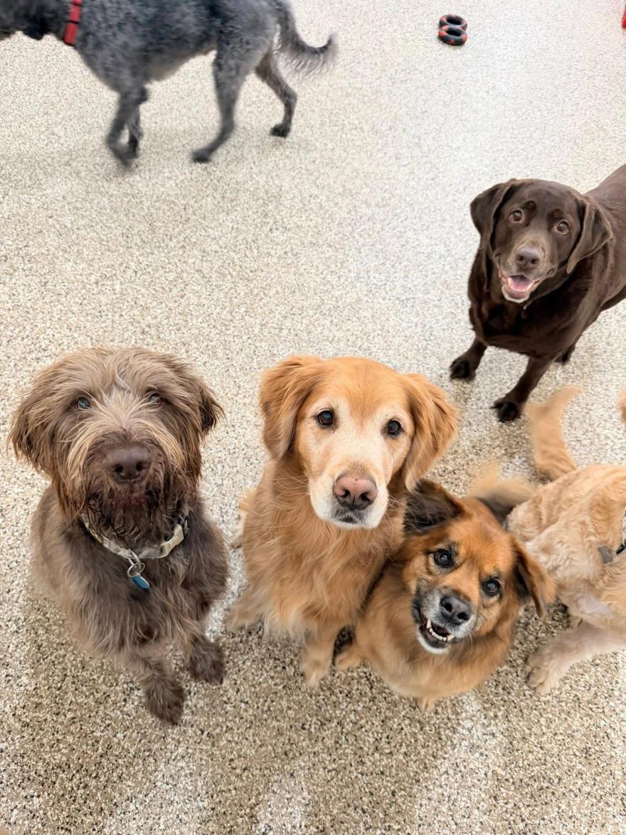 Home away from home carousel 8