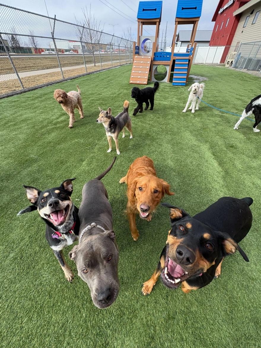 Home away from home carousel 2