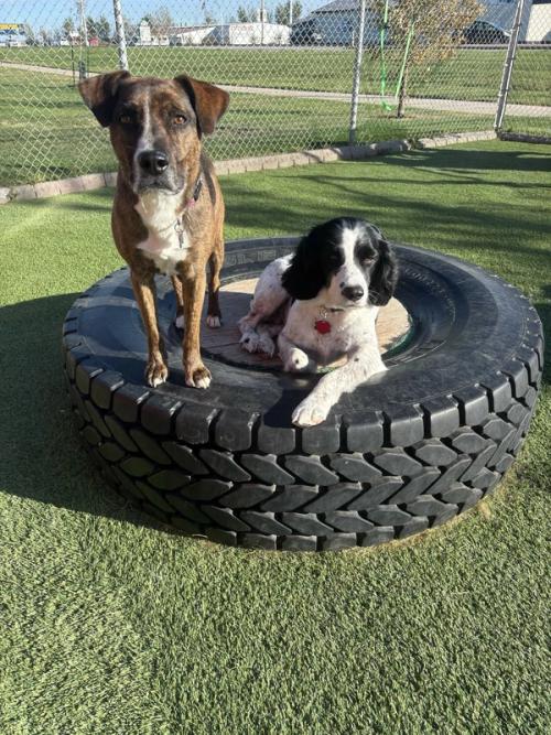 Home Away From Home Gallery 11