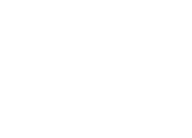 Wipol