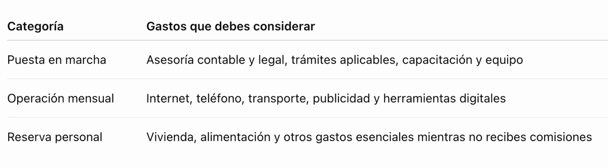 Presupuesto inicial para un agente inmobiliario