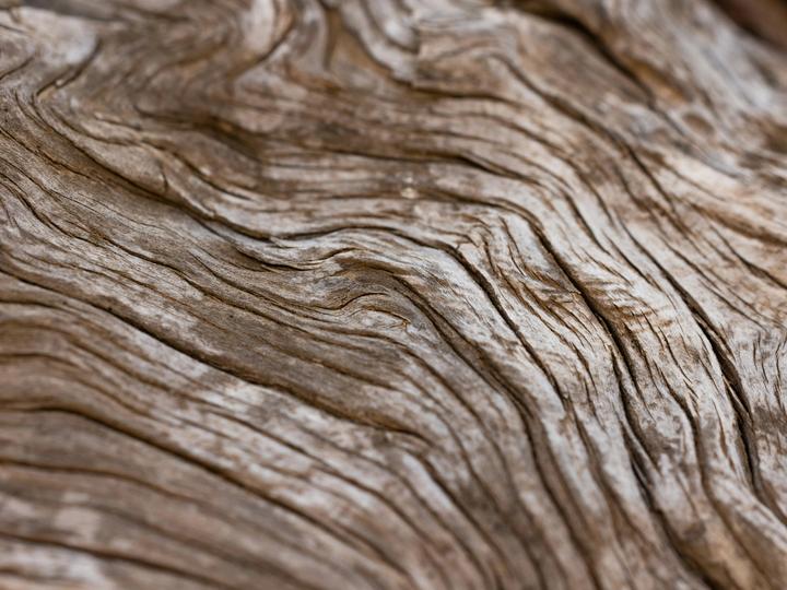 Close-up van een verweerd stuk hout (Engin Akyurt on Unsplash)