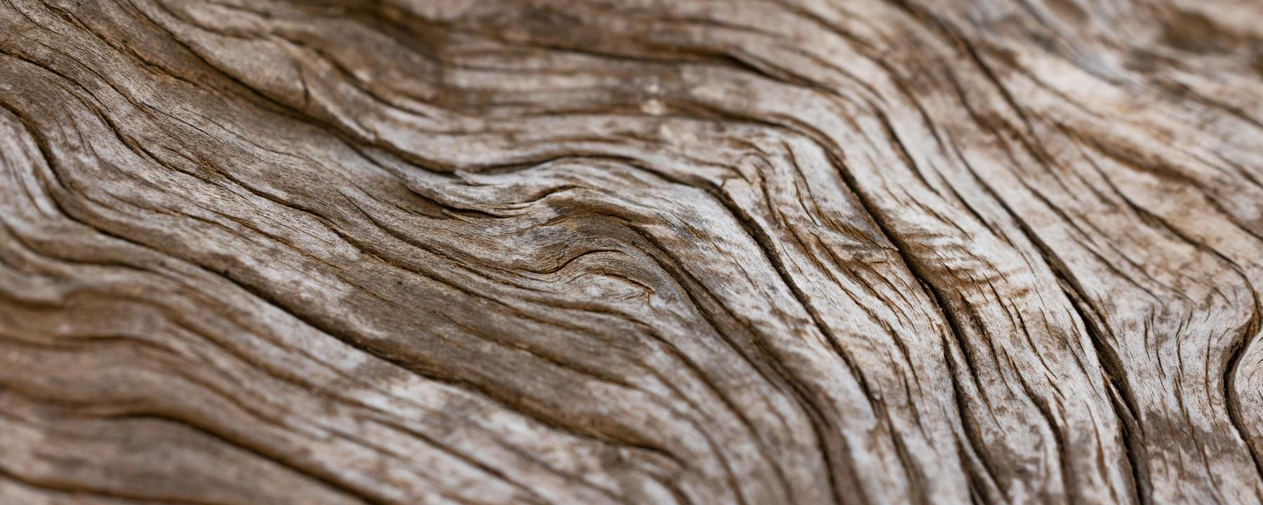 Close-up van een verweerd stuk hout (Engin Akyurt on Unsplash)