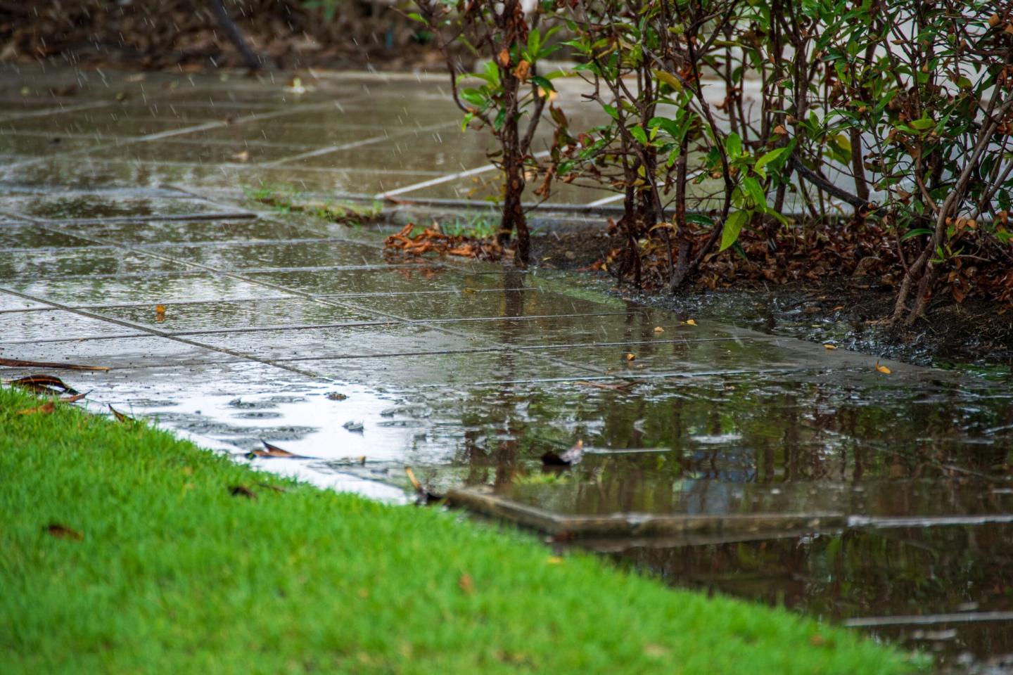 Best Practices for Managing Heavy Rainfall in Houston