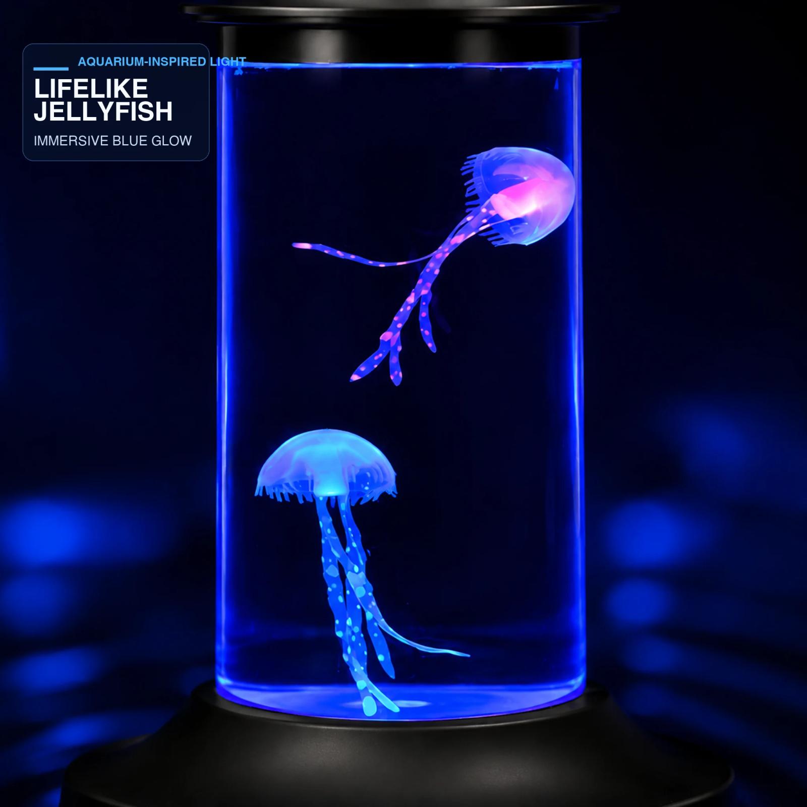 Close-up of two illuminated jellyfish inside the MX-5013R clear blue chamber