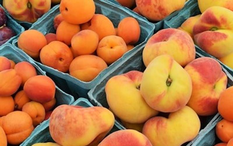 A basket of fresh peaches