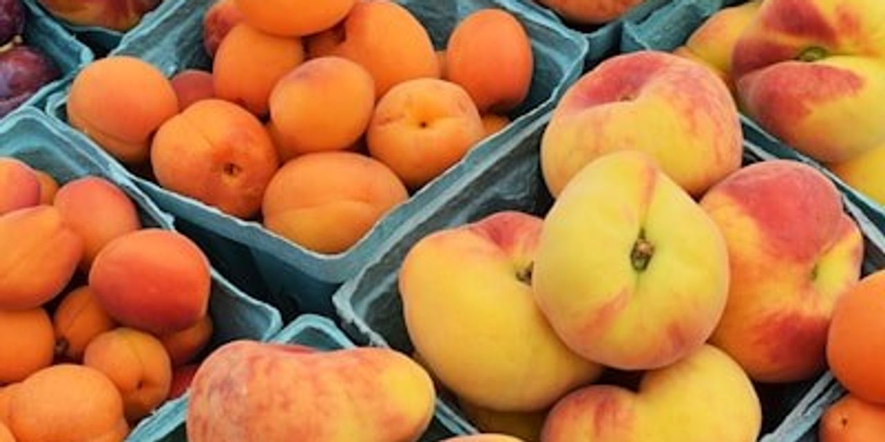 A basket of fresh peaches