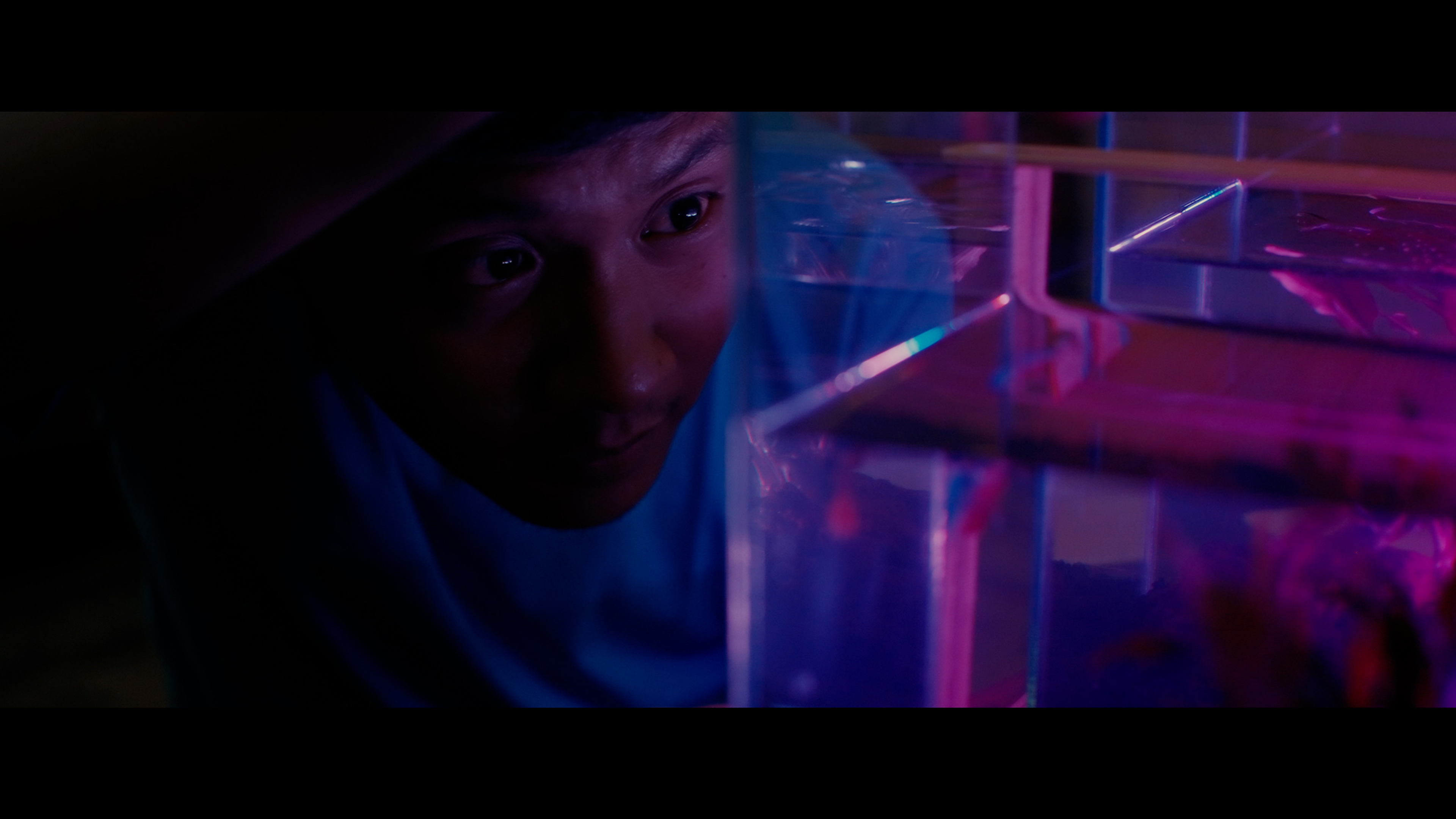 A person peering through a transparent structure illuminated by vivid blue and pink light.