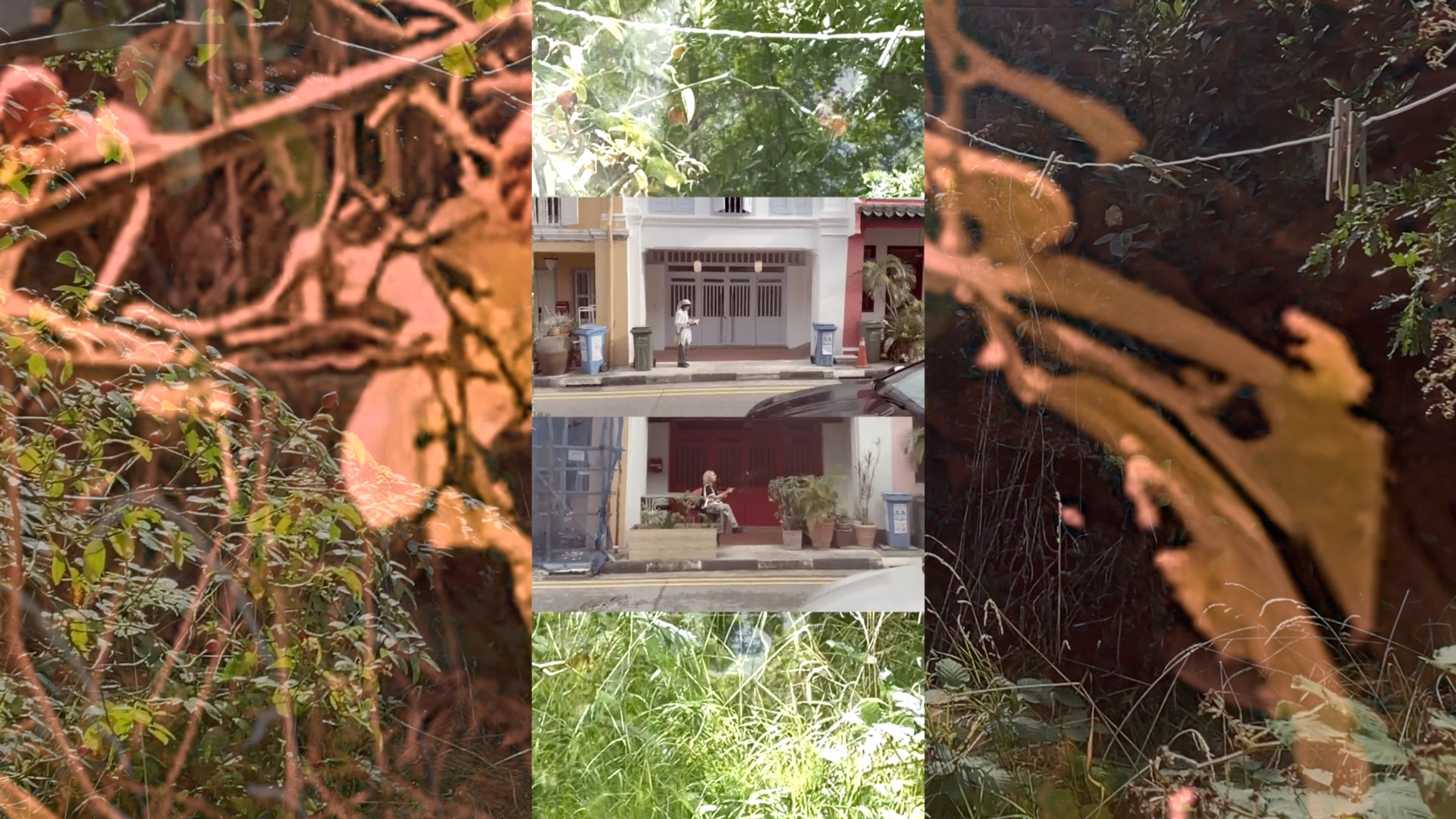 layered collage combining dense vegetation with a residential building and overlapping silhouettes of figures.