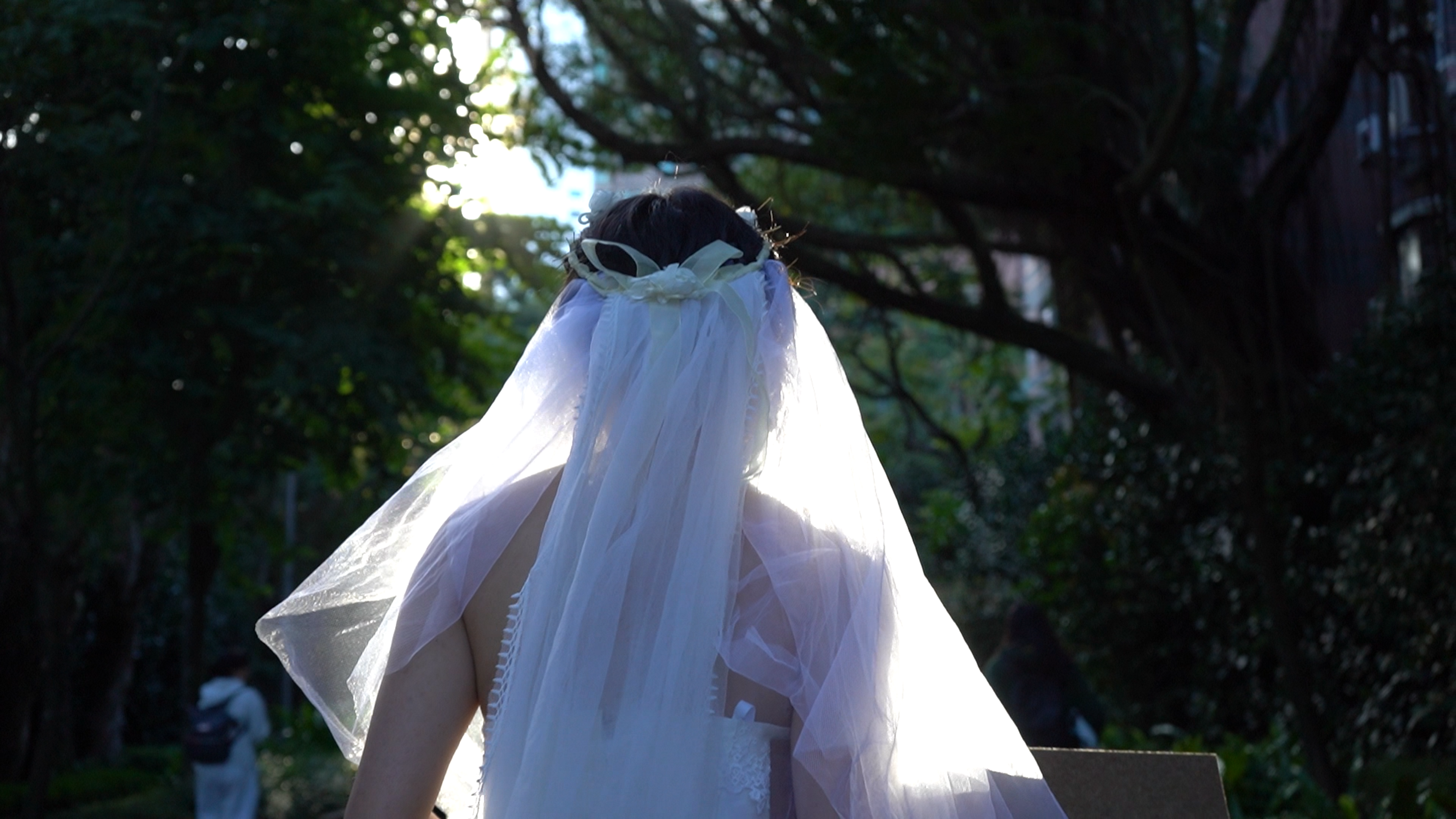 A person wearing a white bridal veil walks along a shaded path, seen from behind with sunlight filtering through the trees.