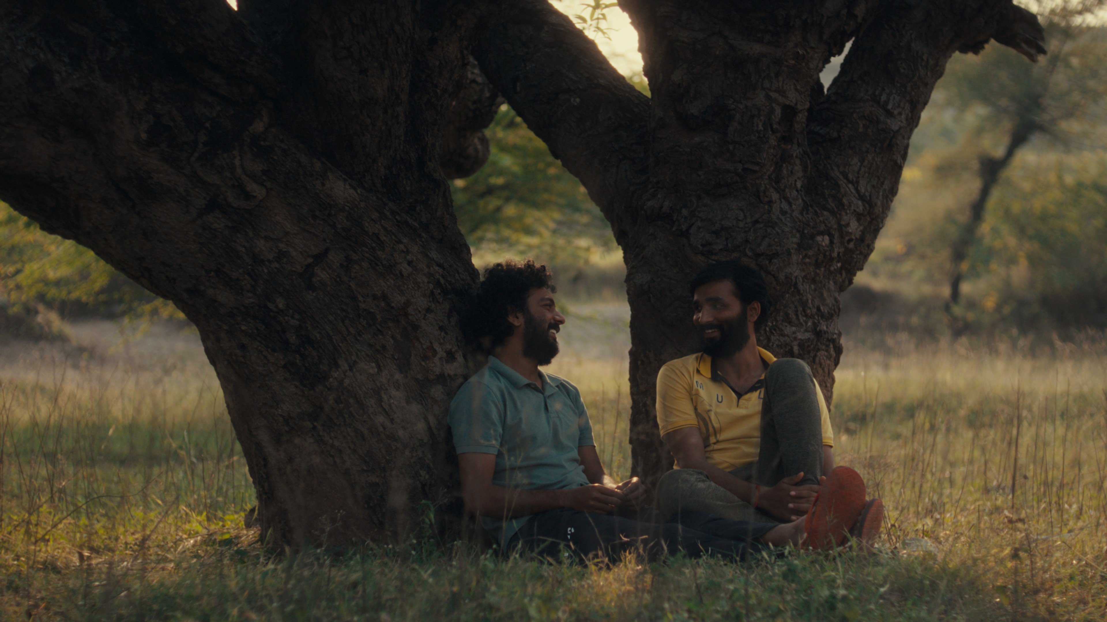 Two men sitting and talking beneath a large tree in a grassy landscape.