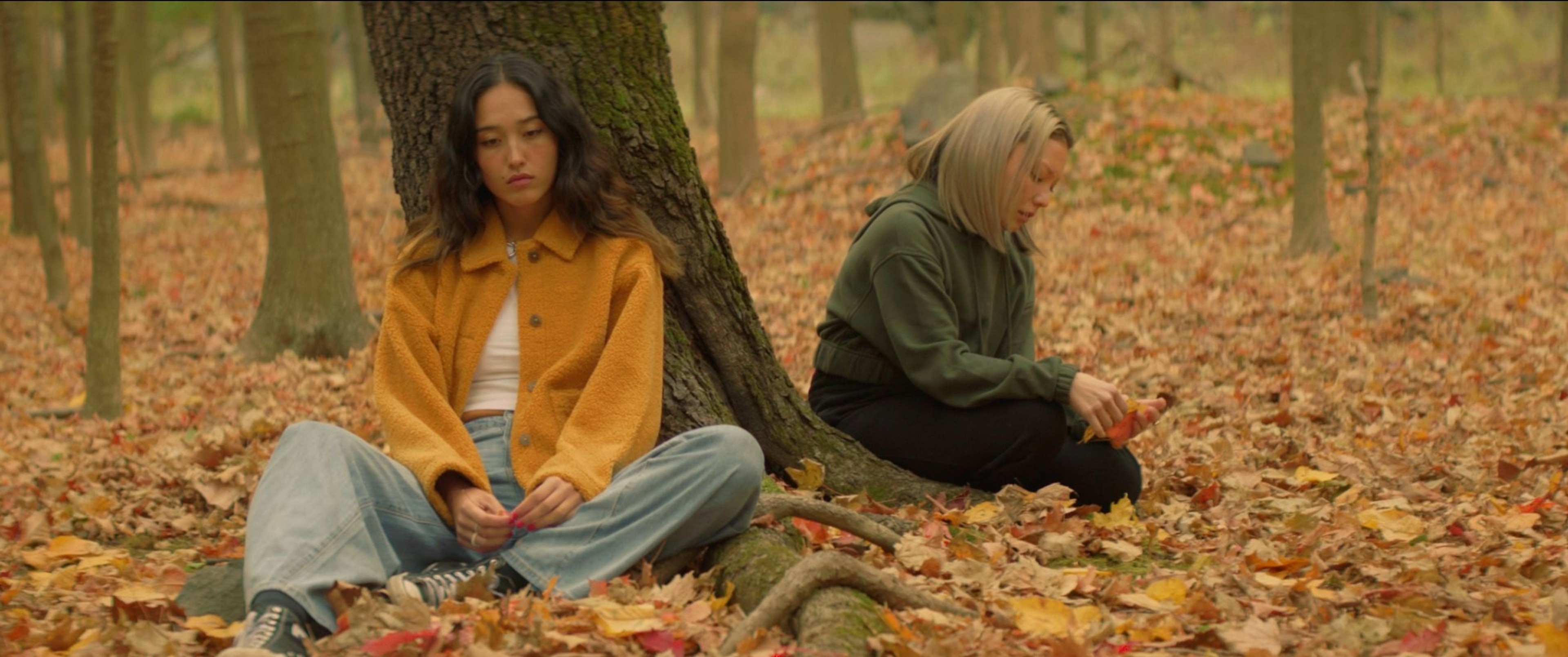 Two figures sit in a forest filled with fallen leaves.