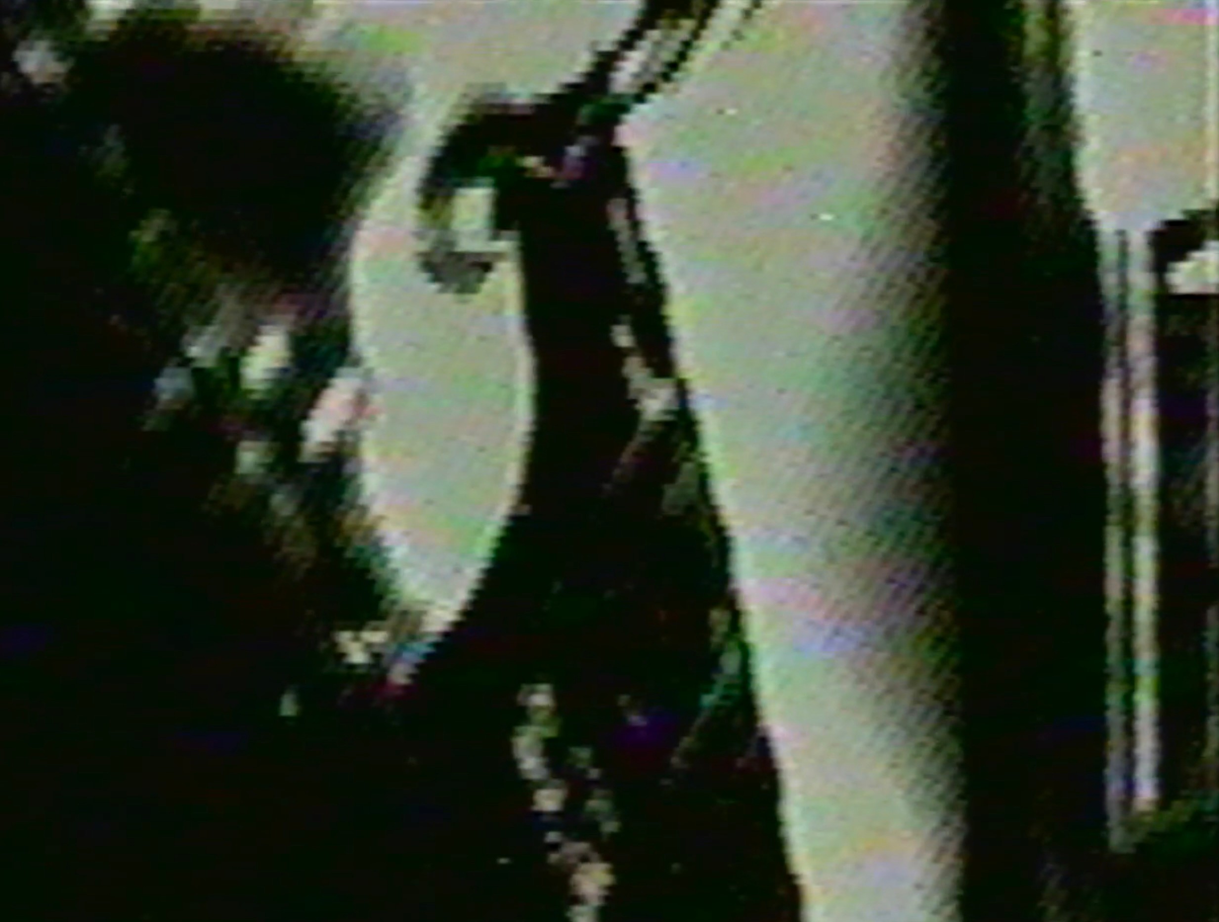 A pixelated, veiled face of a person.