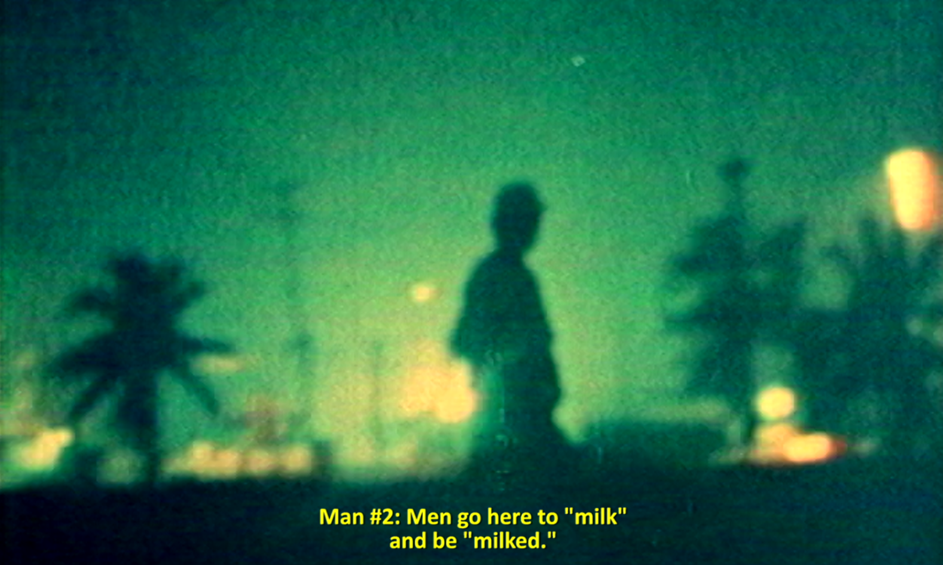 A silhouetted figure standing in a hazy green nighttime landscape, with palm trees and distant lights in the background.