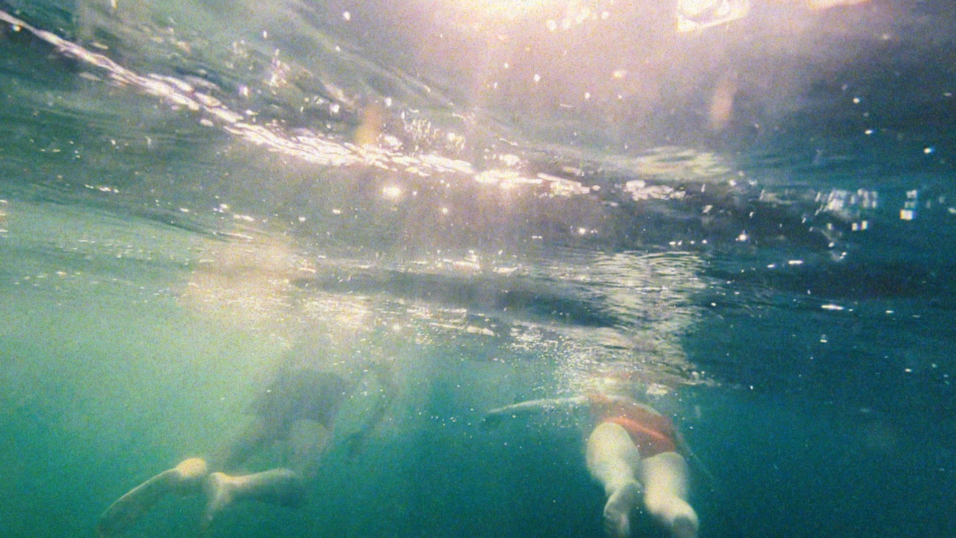 Two people swimming underwater beneath a sunlit surface.
