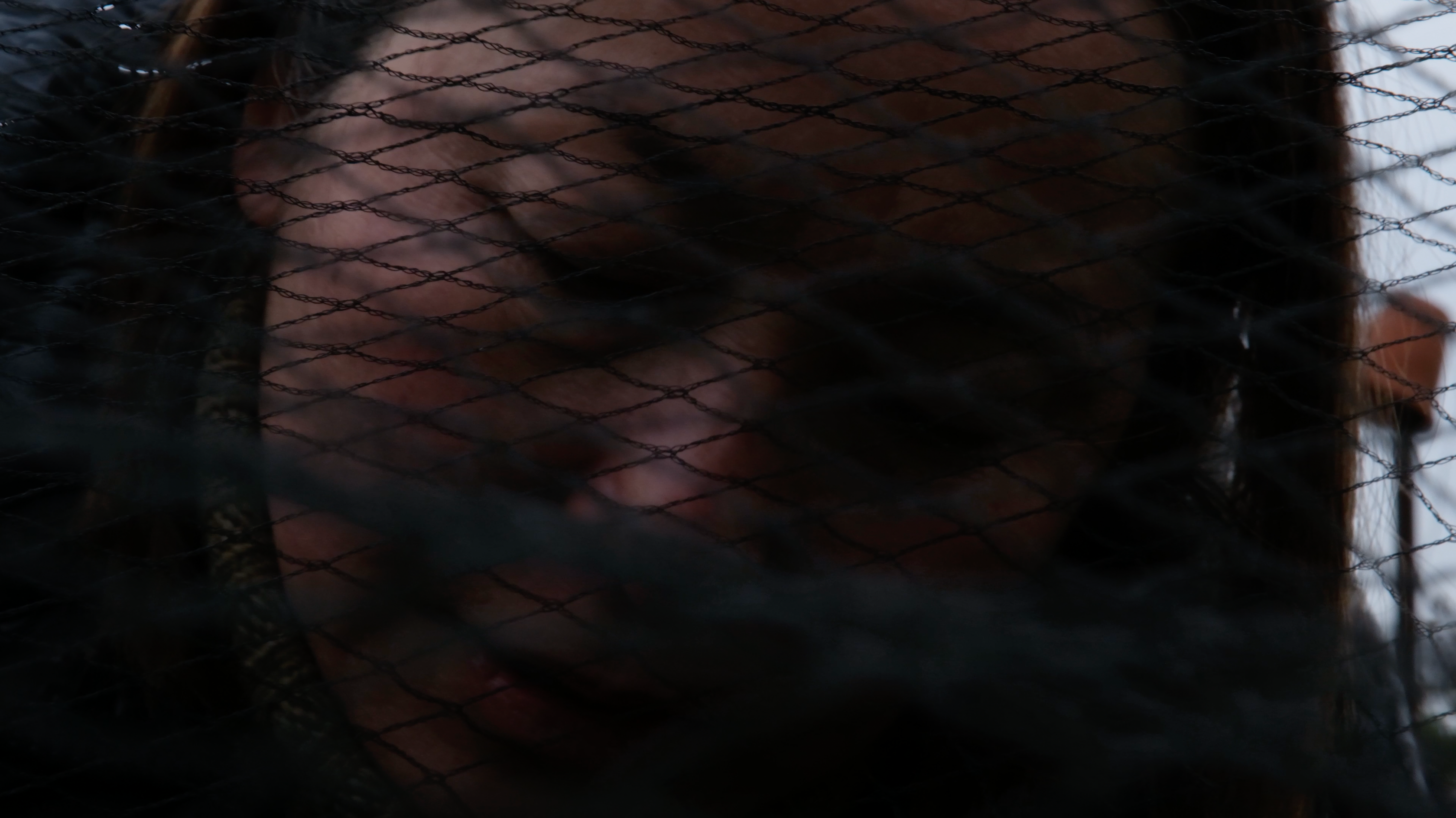 A close-up of a person’s face partially obscured by black netting.